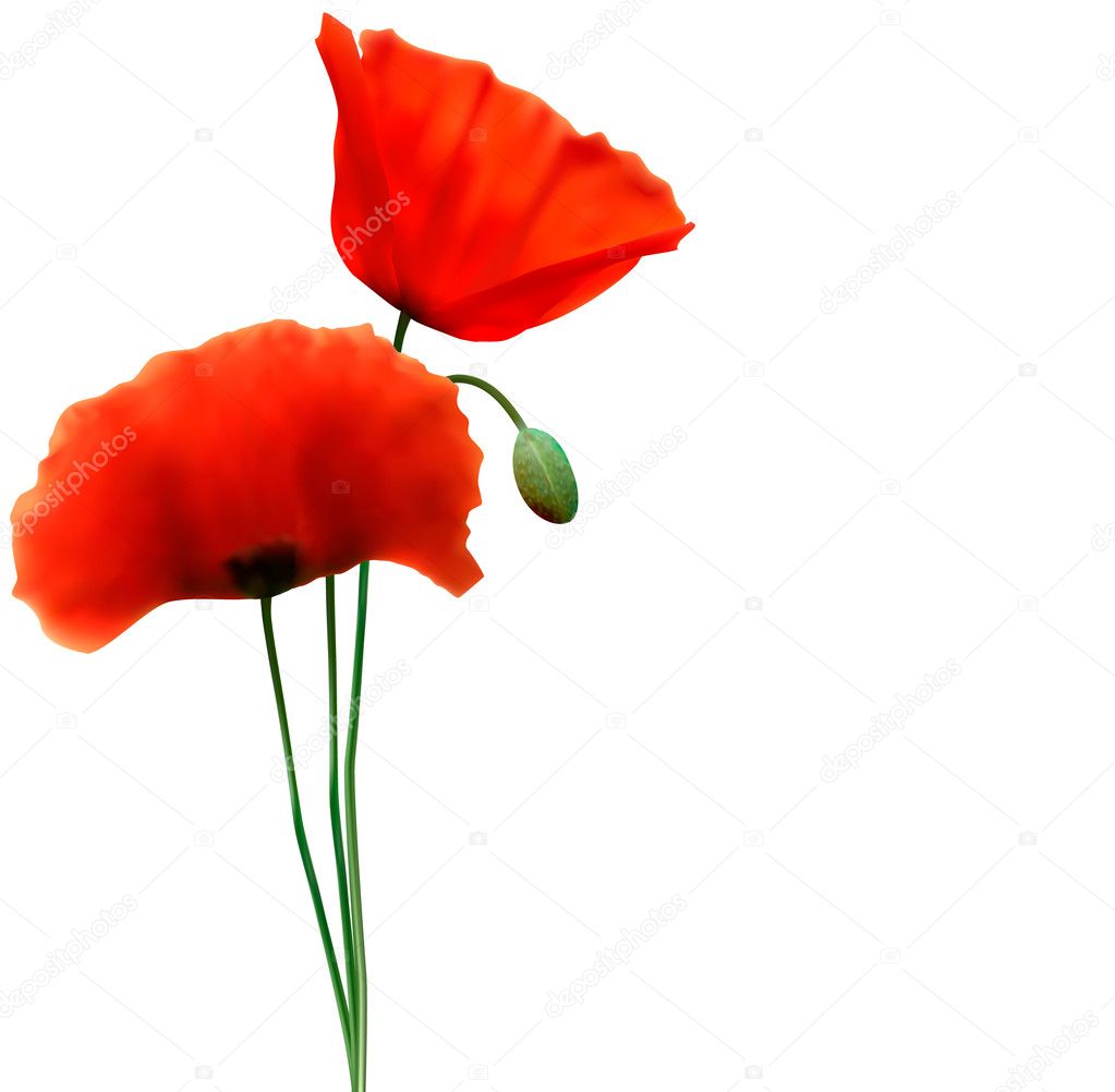 Spring background with red poppy Vector