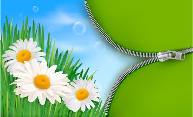 Nature background with spring flowers and open zipper. Vector illustration. clipart