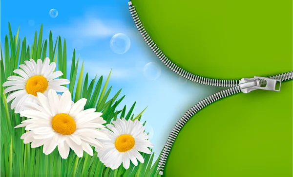 Φύση φόντο με ανοιξιάτικα λουλούδια και ανοίξτε φερμουάρ. εικονογράφηση φορέας. — Διανυσματικό Αρχείο