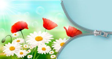 Nature background with summer flowers and open zipper. Vector illustration. clipart