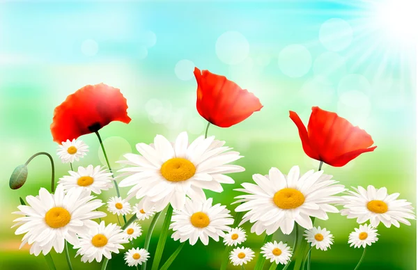 Fondo de la naturaleza con flores de verano y cremallera abierta Vector ilustración — Vector de stock