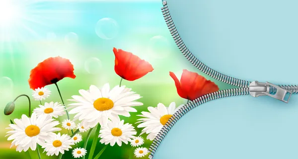Nature background with summer flowers and open zipper. Vector illustration. — Stock Vector