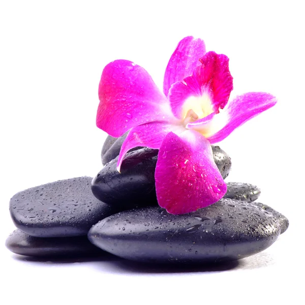Spa stenar och orkidé blommor över vita — Stockfoto