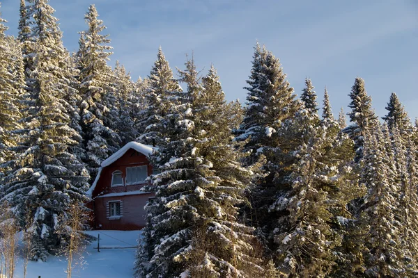 Stock image Cottage in winter forest