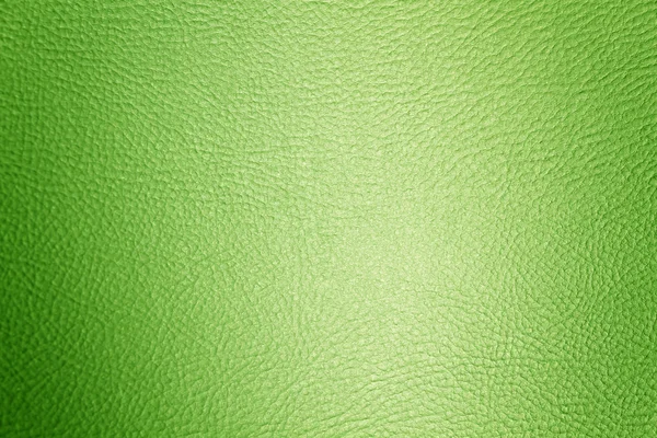 Fond en cuir vert — Photo