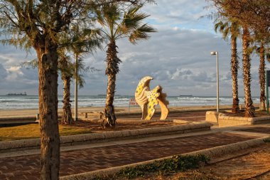 Evening beach Ashdod clipart