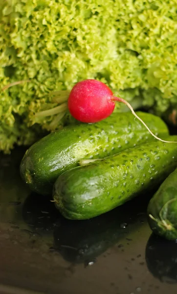 신선한 야채 — 스톡 사진