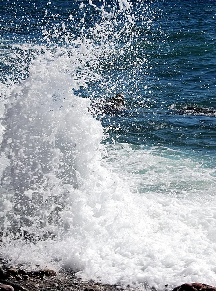 Prachtige zee splash — Stockfoto