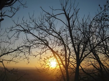 sonbahar günbatımı ağaçlar orta. Pyatigorsk içinde Güz