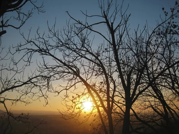 Höst solnedgång mitt träd. falla i pyatigorsk — Stockfoto