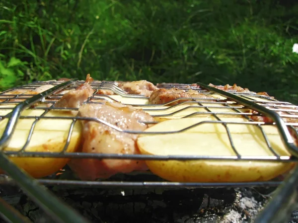 Barbeque prepare on the bonfire. Outdoor resting — Stock Photo, Image