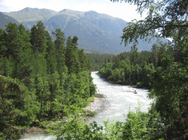 vahşi Kafkasya nehir zelenchuck. arhyz. Çerkez Cumhuriyeti Cumhuriyeti