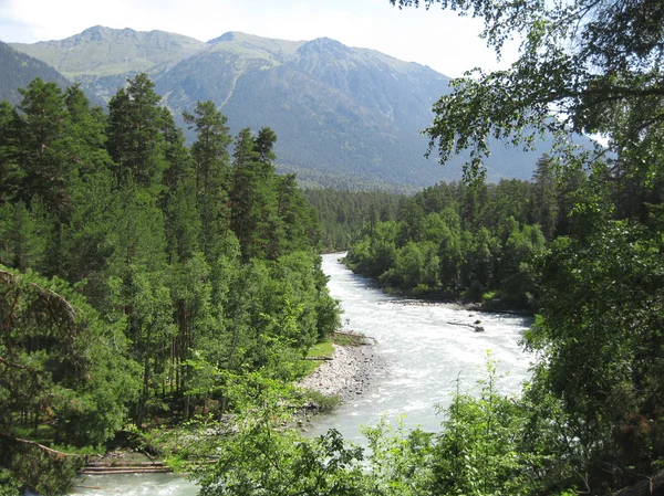 Wild caucasus river Zelenchuck. Arhyz. Cherkessia republic — Stock Photo, Image