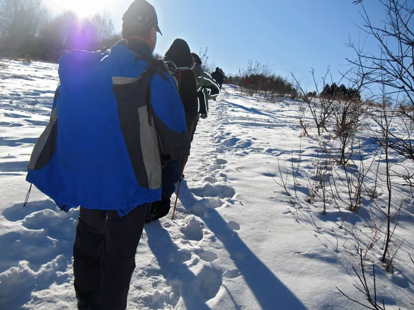 Echipa de turiști merge pe drumul cel bun. Caucas de iarnă — Fotografie, imagine de stoc