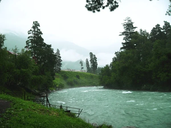 Río del Cáucaso salvaje Zelenchuck. Arhyz. República de Cherkessia — Foto de Stock