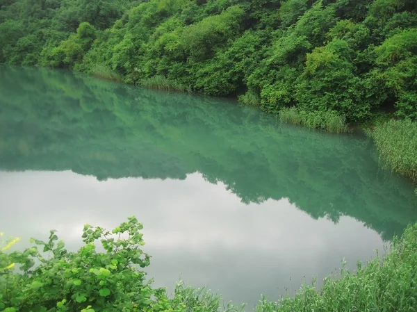 ทะเลสาบเล็ก ๆ ระหว่างภูเขา Caucasus ฤดูร้อน — ภาพถ่ายสต็อก