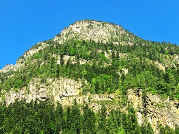 Caucasus mountains and forest under clear blue sky — Stock Photo, Image