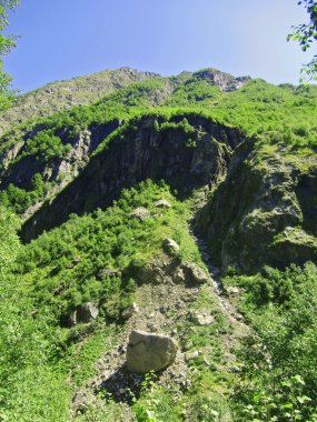 Kafkas Dağları ve açık mavi gökyüzü altında orman