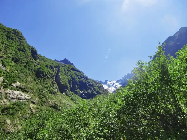 Οροσειρά του Καυκάσου και το δάσος κάτω από τον καταγάλανο ουρανό — Φωτογραφία Αρχείου