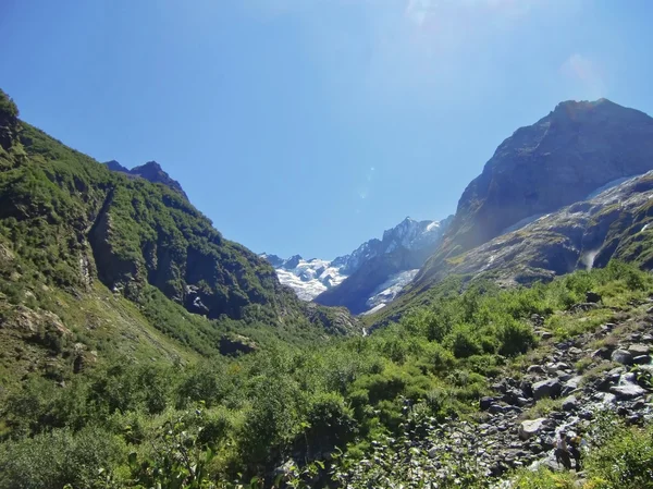 Montañas del Cáucaso y bosque bajo cielo azul claro —  Fotos de Stock