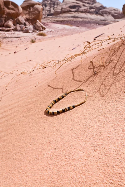 Beduinenperlen auf rotem Sanddünendessert — Stockfoto