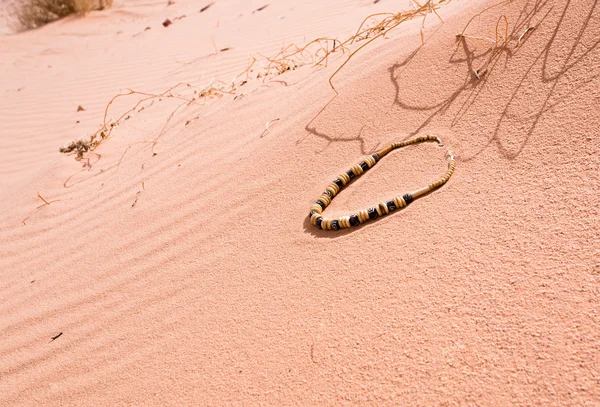 Bedouin beads on red sand dune dessert — Stock Photo, Image