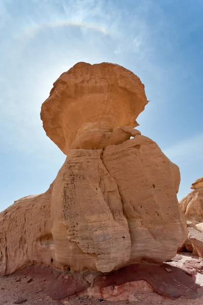 Mushroom rock en Wadi Ron postre — Foto de Stock
