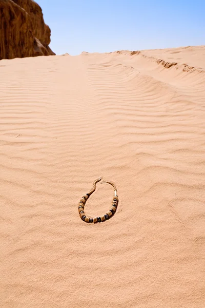 Bedouin beads on yellow sand dune dessert — Stock Photo, Image