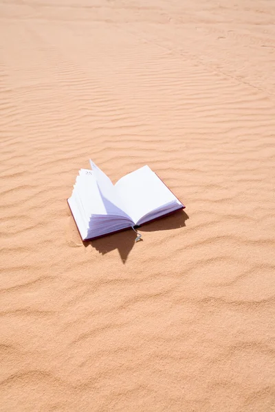 모래 언덕 디저트에 노트북 — 스톡 사진