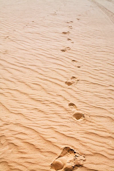 Footprints on sand dune in dessert — Stock Photo, Image