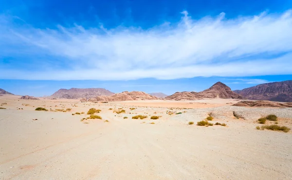 Paisaje nublado bajo el postre Wadi Rum —  Fotos de Stock