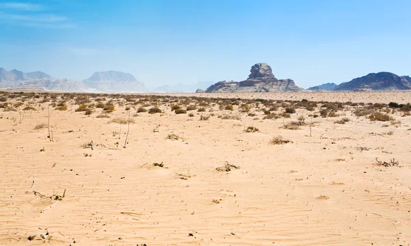Sphinx rots in wadi rum woestijn — Stockfoto