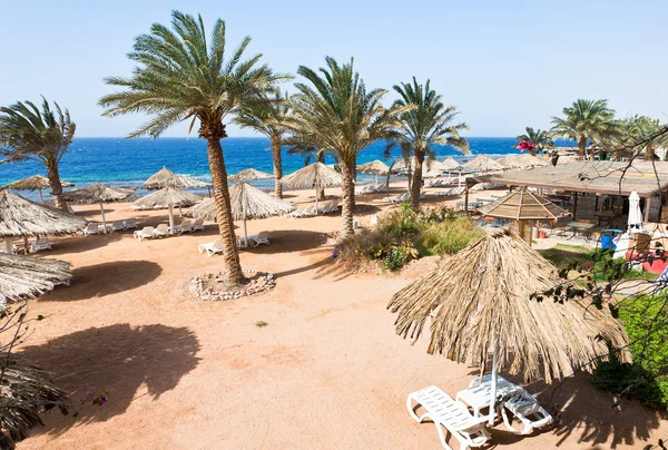 Coral bay beach in Aqaba — Stock Photo, Image