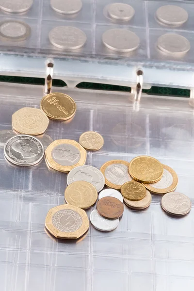 Numismatics album with different coins — Stock Photo, Image