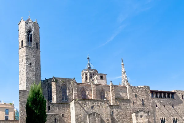 Väggarna i gotiska katedralen i barcelona — Stockfoto