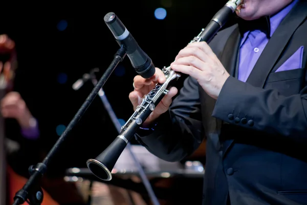 Stock image Musician plays on clarinet