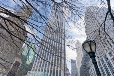 new York'ta çıplak ağaçlar ve binalar