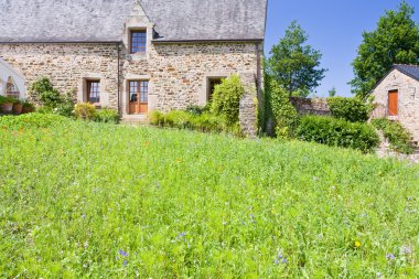 Green grass lawn on backyard of old breton estate clipart