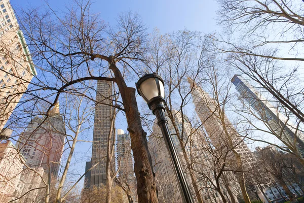 New York'ta çıplak ağaçlar ve binalar — Stok fotoğraf