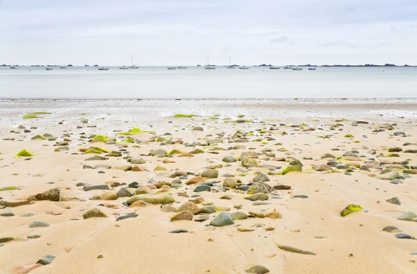 Sand seacoast of English Channel in Brittany — Stock Photo, Image
