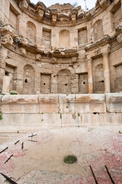 antik kenti: jerash artemis Tapınağı yakınındaki antik kase