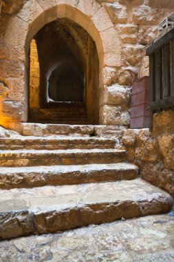 Ortaçağ ajlun castle yakınındaki ajloun kasaba, jordan