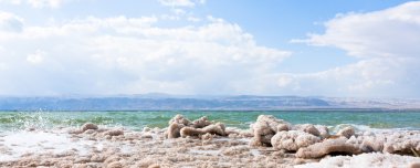 Crystalline salt on beach of Dead Sea clipart