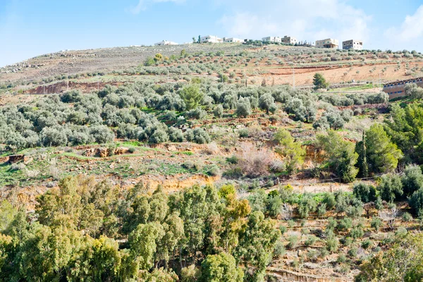 Sten terrasser på berg i Jordanien — Stockfoto