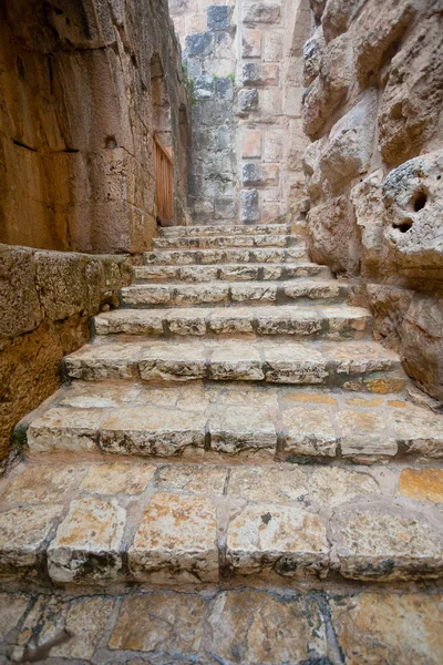 Château médiéval d'Ajlun près de la ville d'Ajloun, Jordanie — Photo