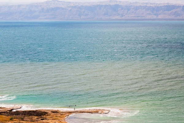 Dans la boue minérale en Mer Morte, Jordanie — Photo