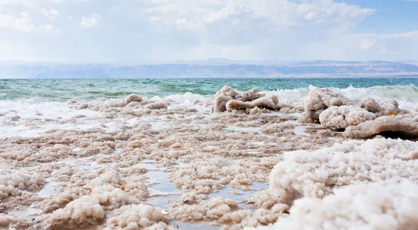 结晶盐死海海滩 — 图库照片