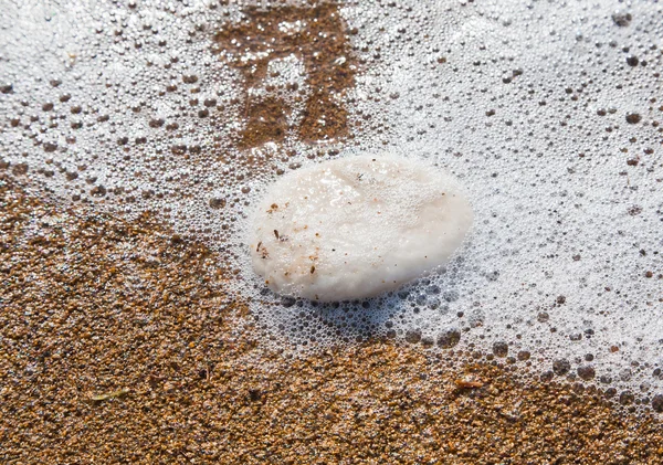 Kristallijn zout op strand van dode zee — Stockfoto