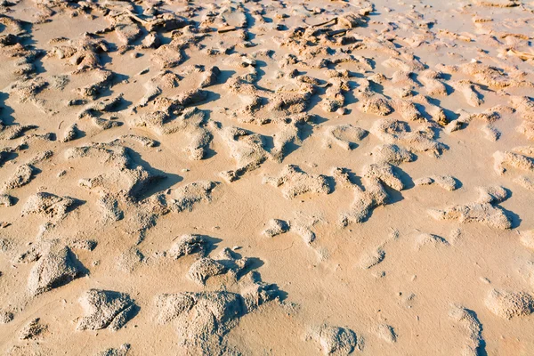 Plaża błoto z Morza Martwego — Zdjęcie stockowe