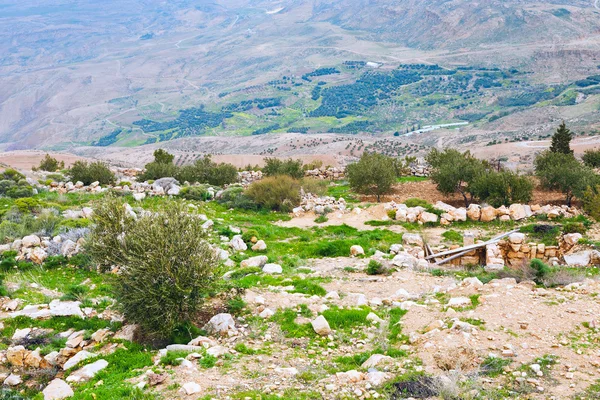 パレスチナの土地を石します。 — ストック写真
